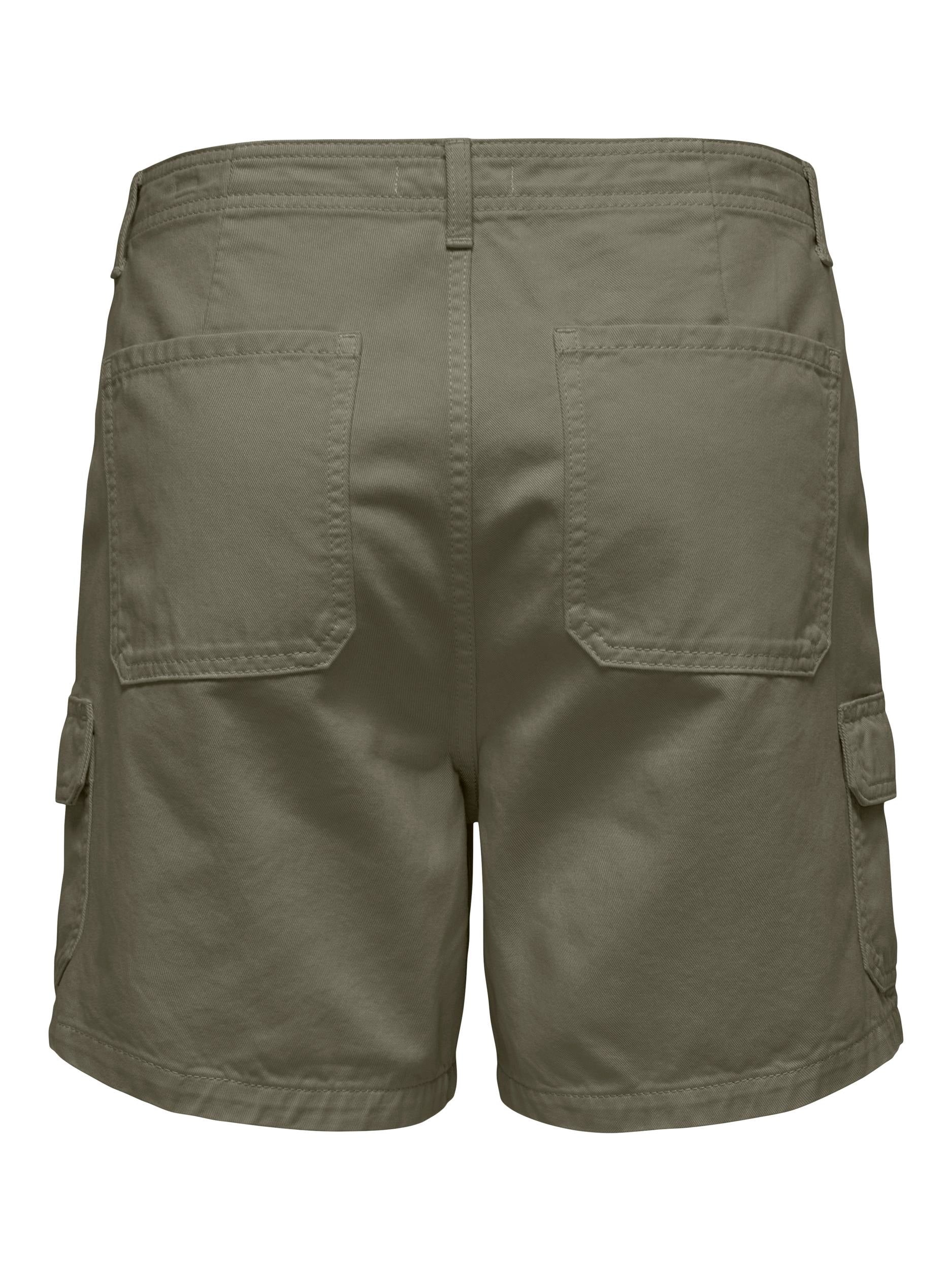 ONLMALFY LIFE CARGO SHORTS PNT