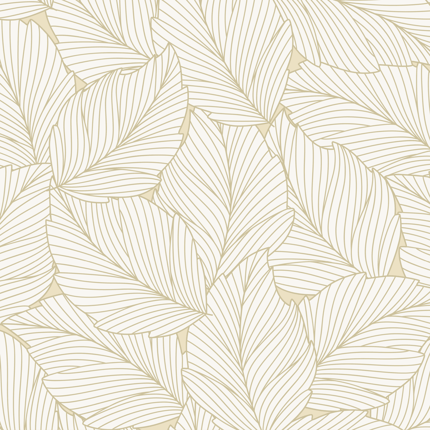 Gutschein einlösbar in der DEKUmodewelt Lemförde und den ZONE1 Filialen Bad Essen und Espelkamp