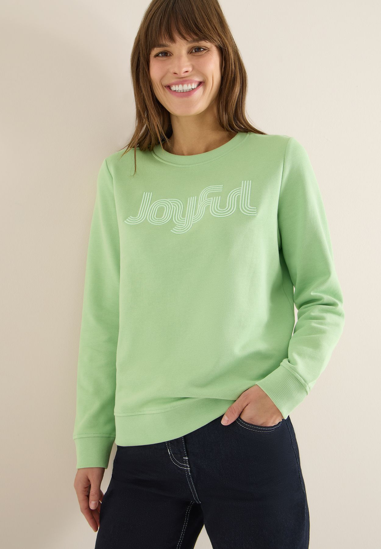 Sweatshirt mit Stickerei