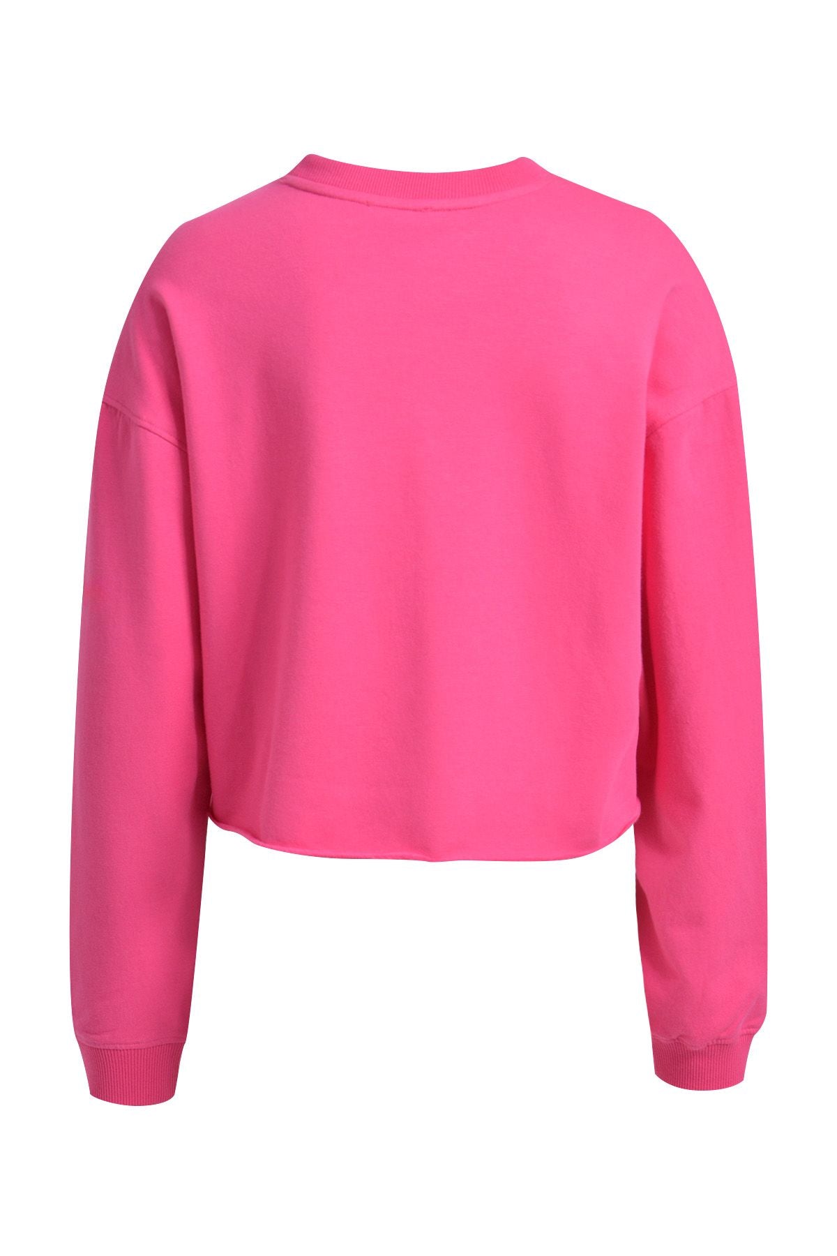 Boxy Cropped Sweatshirt 3D Anagram