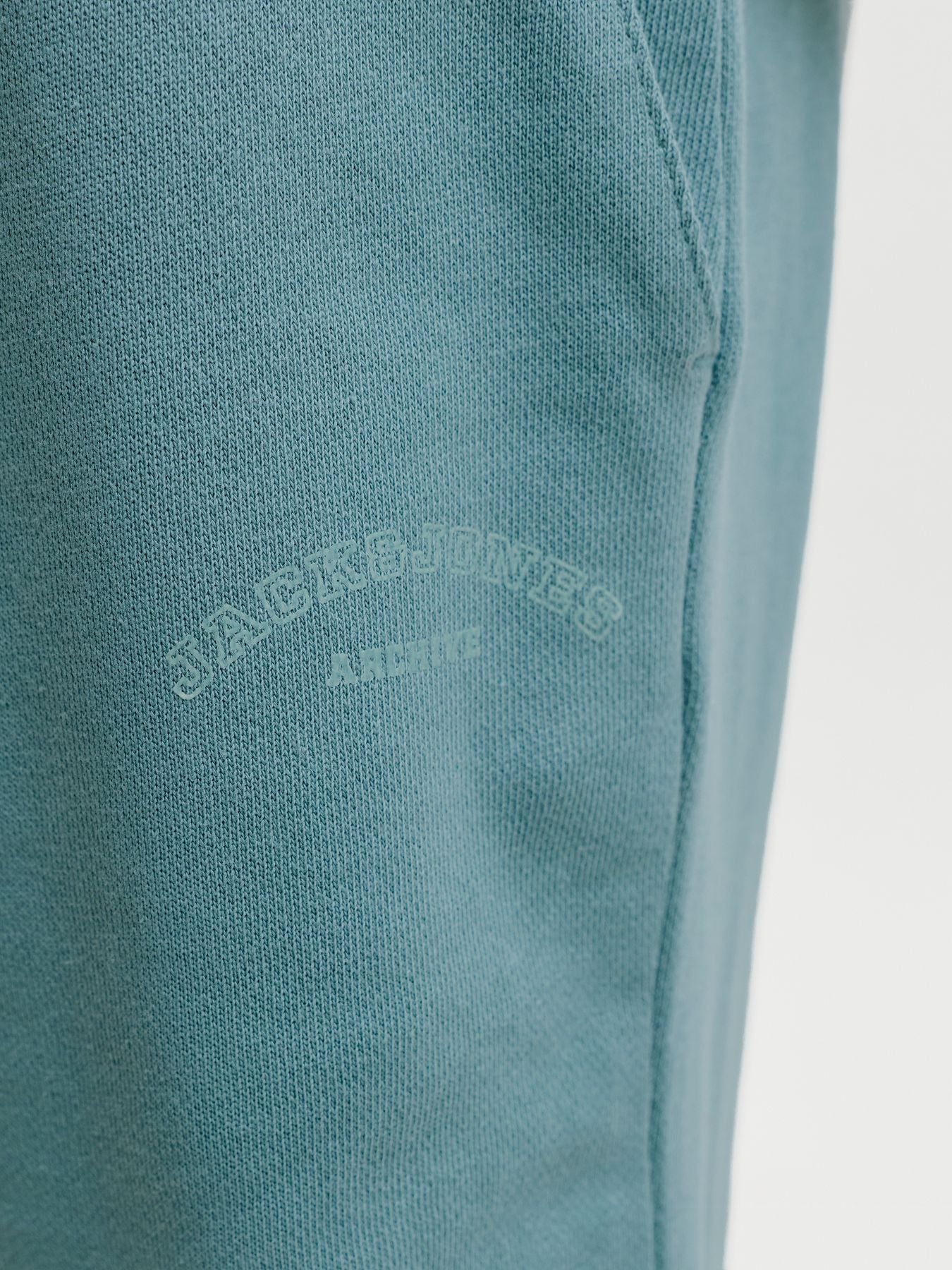 JPSTGORDON COLLEGE SWEAT SHORTS MI PLS