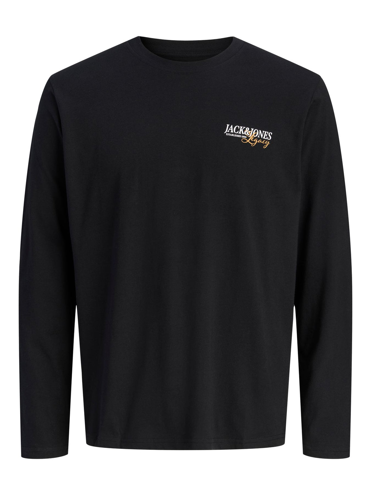 JJJADE TEE LS CREW NECK BF