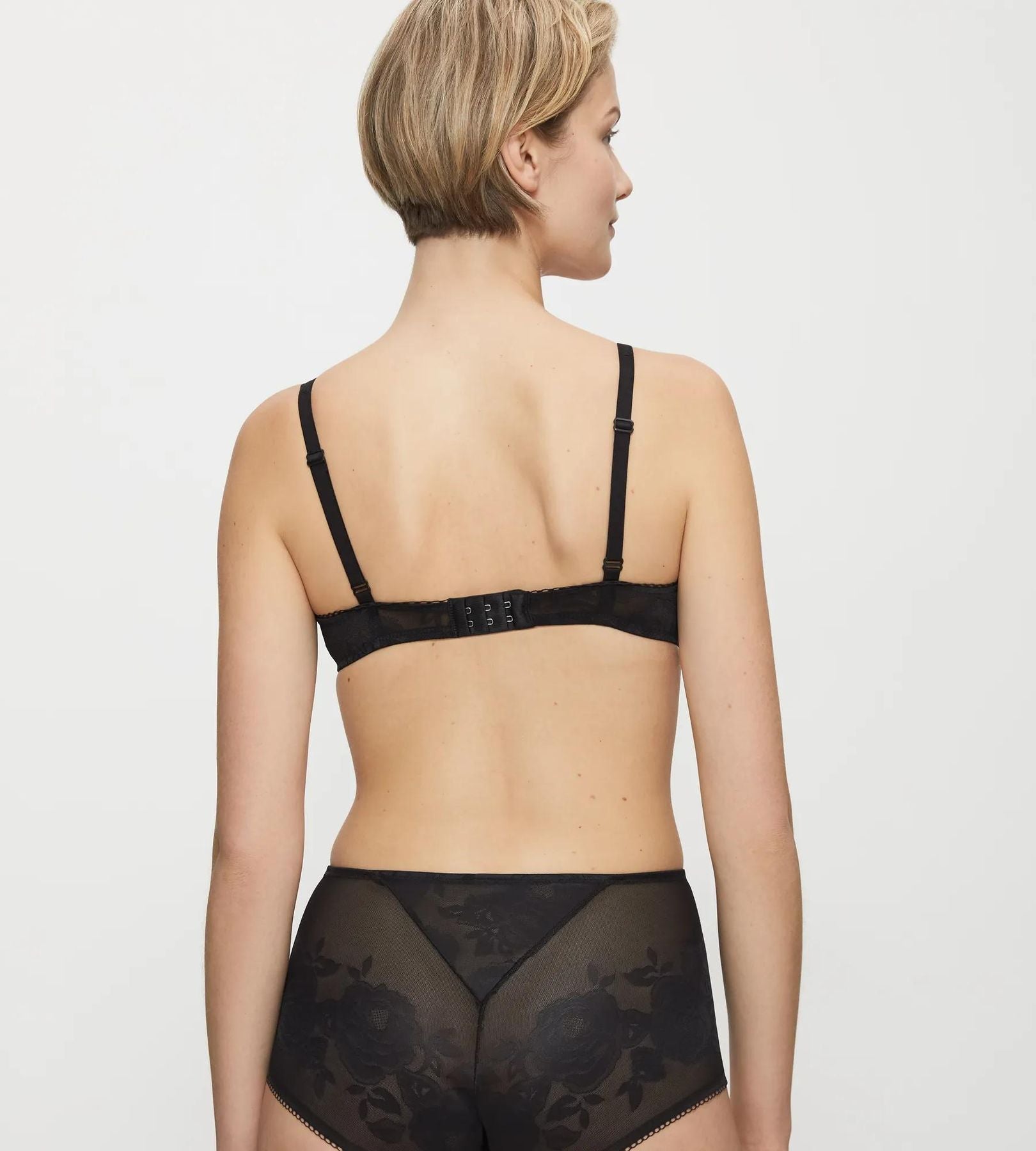 Wild Rose Sensation WP