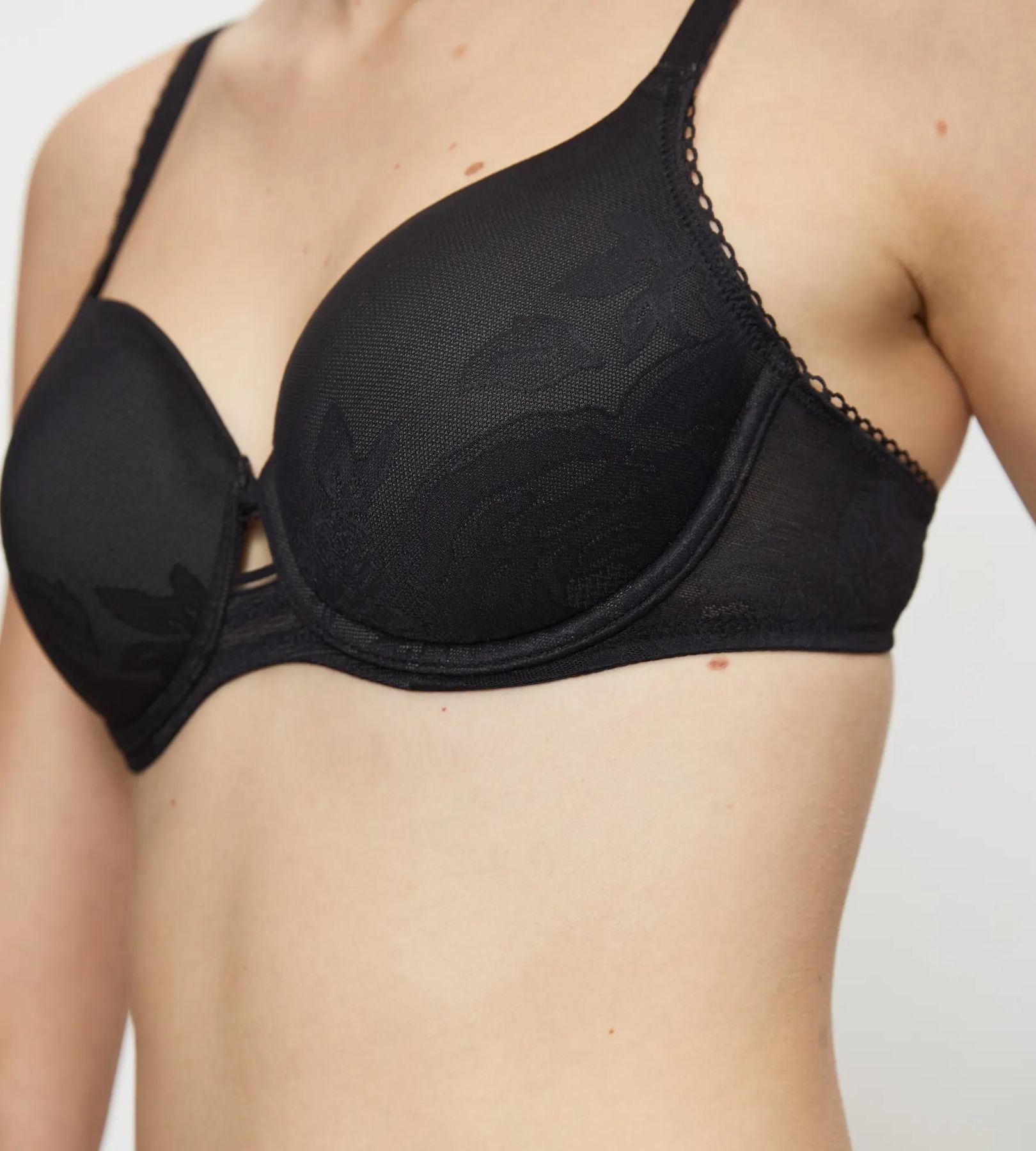 Wild Rose Sensation WP