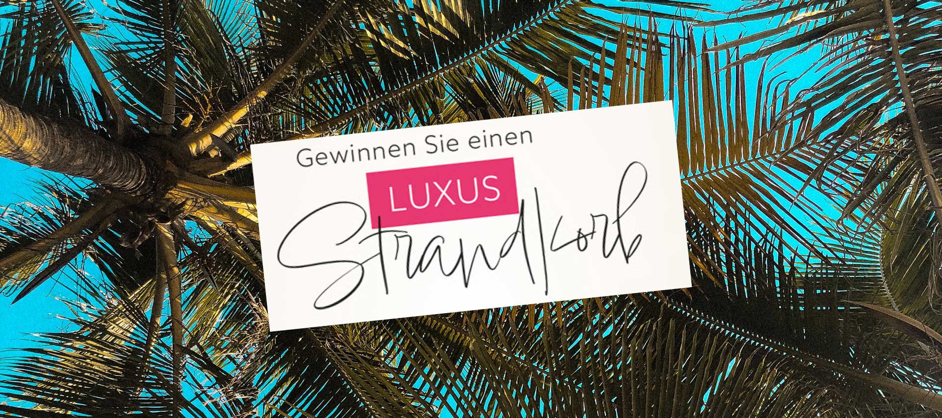 Gewinnen Sie einen Luxus Standkorb