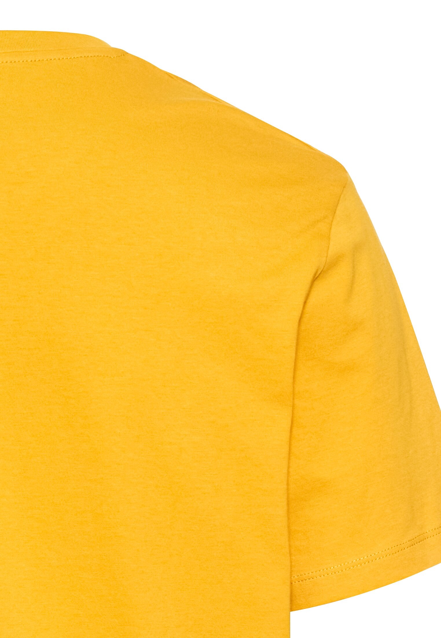 Basic T-Shirt aus reiner Baumwolle