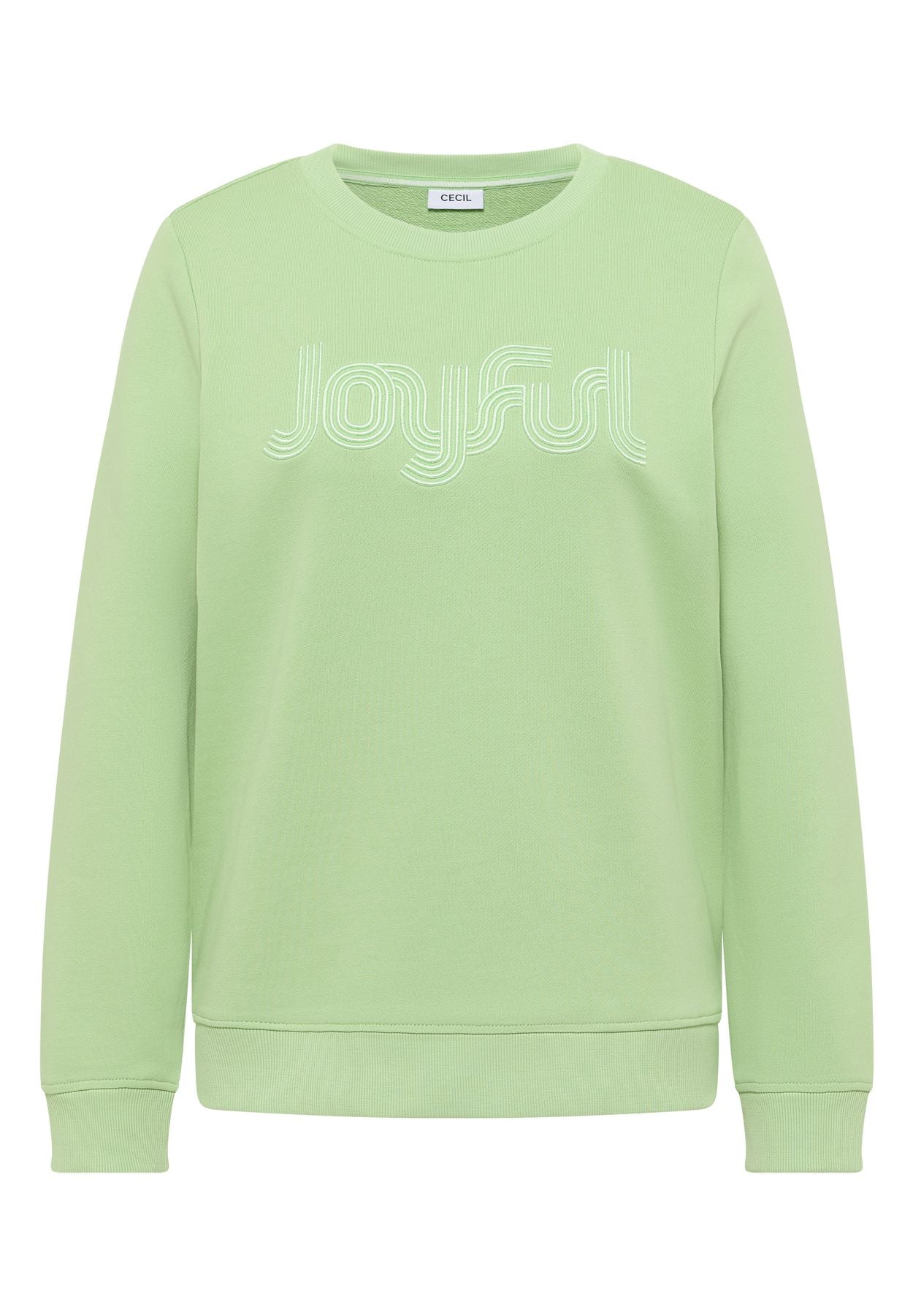 Sweatshirt mit Stickerei
