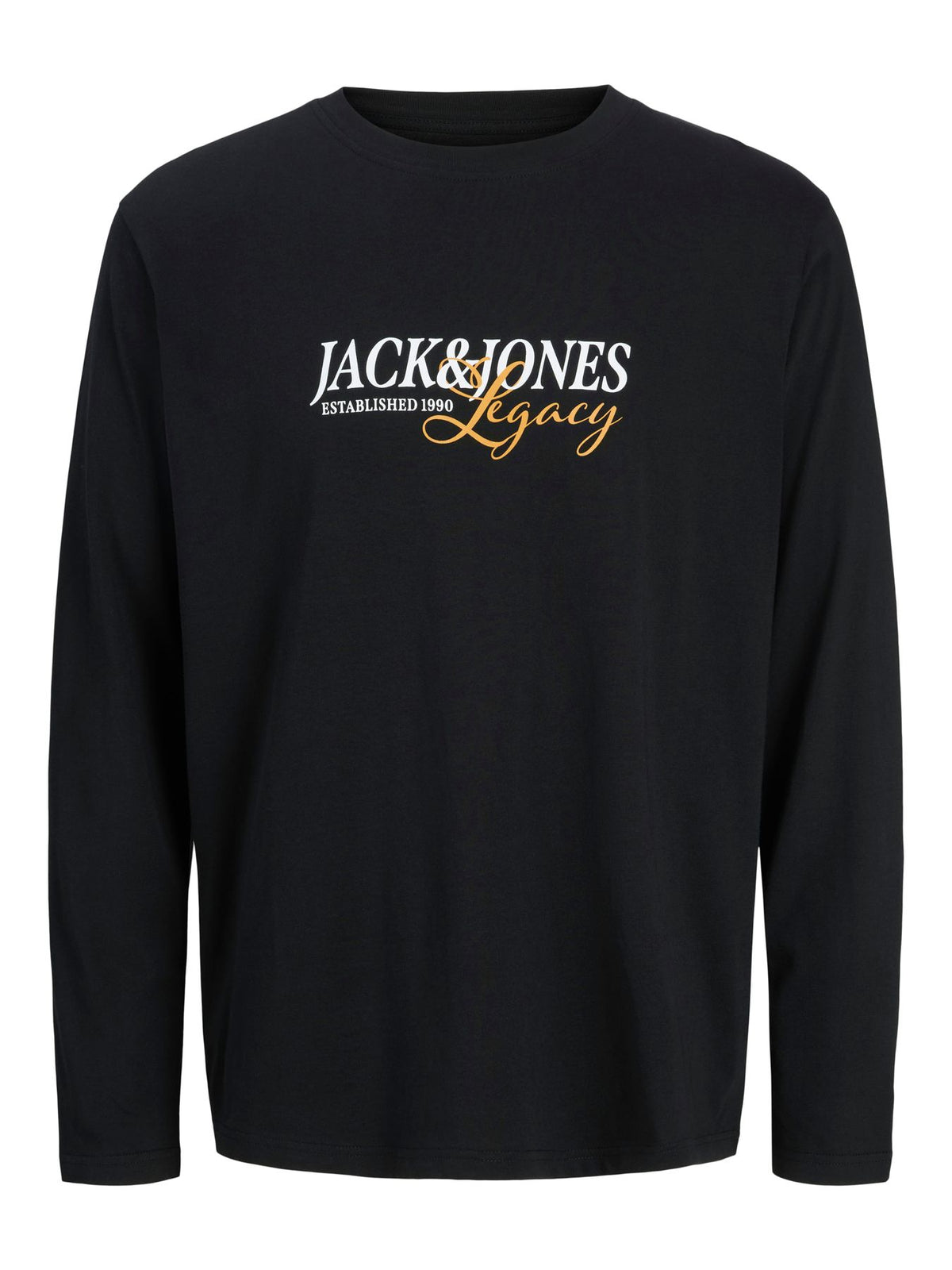 JJJADE TEE LS CREW NECK BF PLS