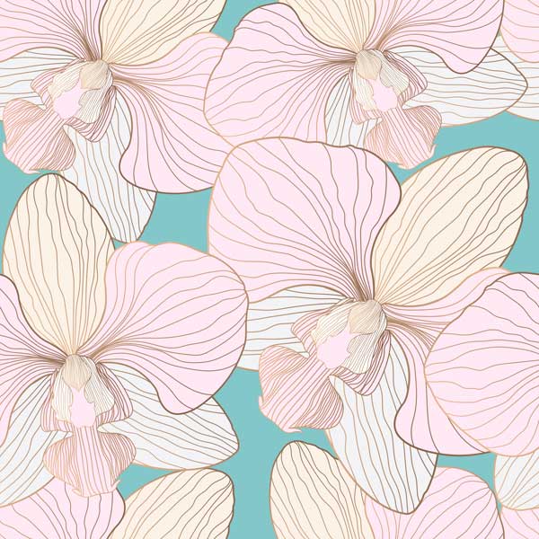 Gutschein einlösbar in der DEKUmodewelt Lemförde und den ZONE1 Filialen Bad Essen und Espelkamp