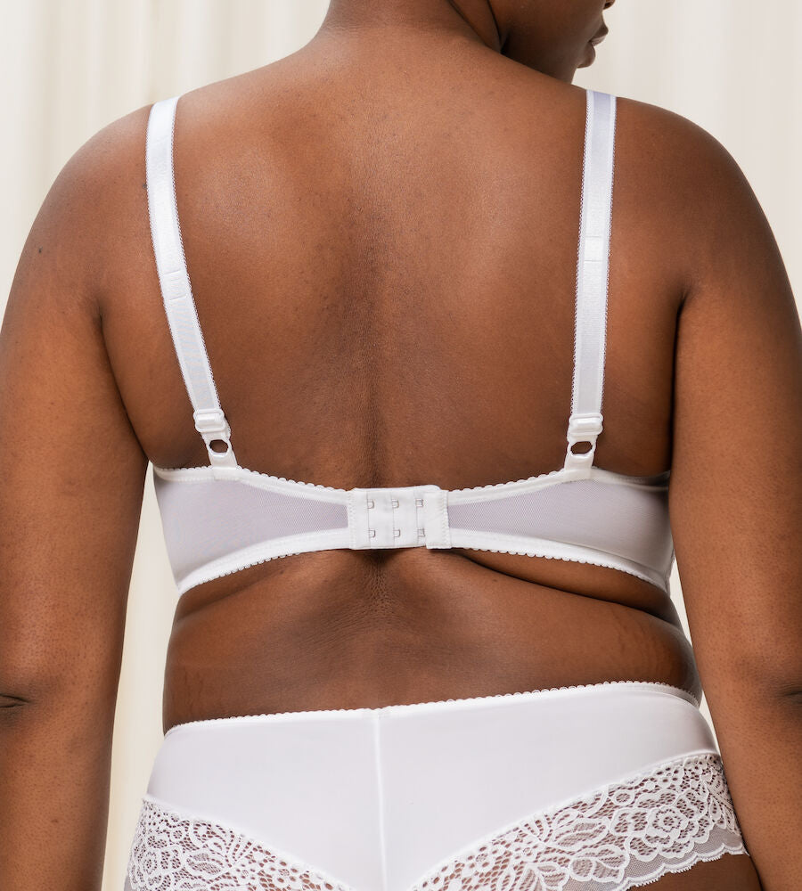 Amourette Spotlight WHP X