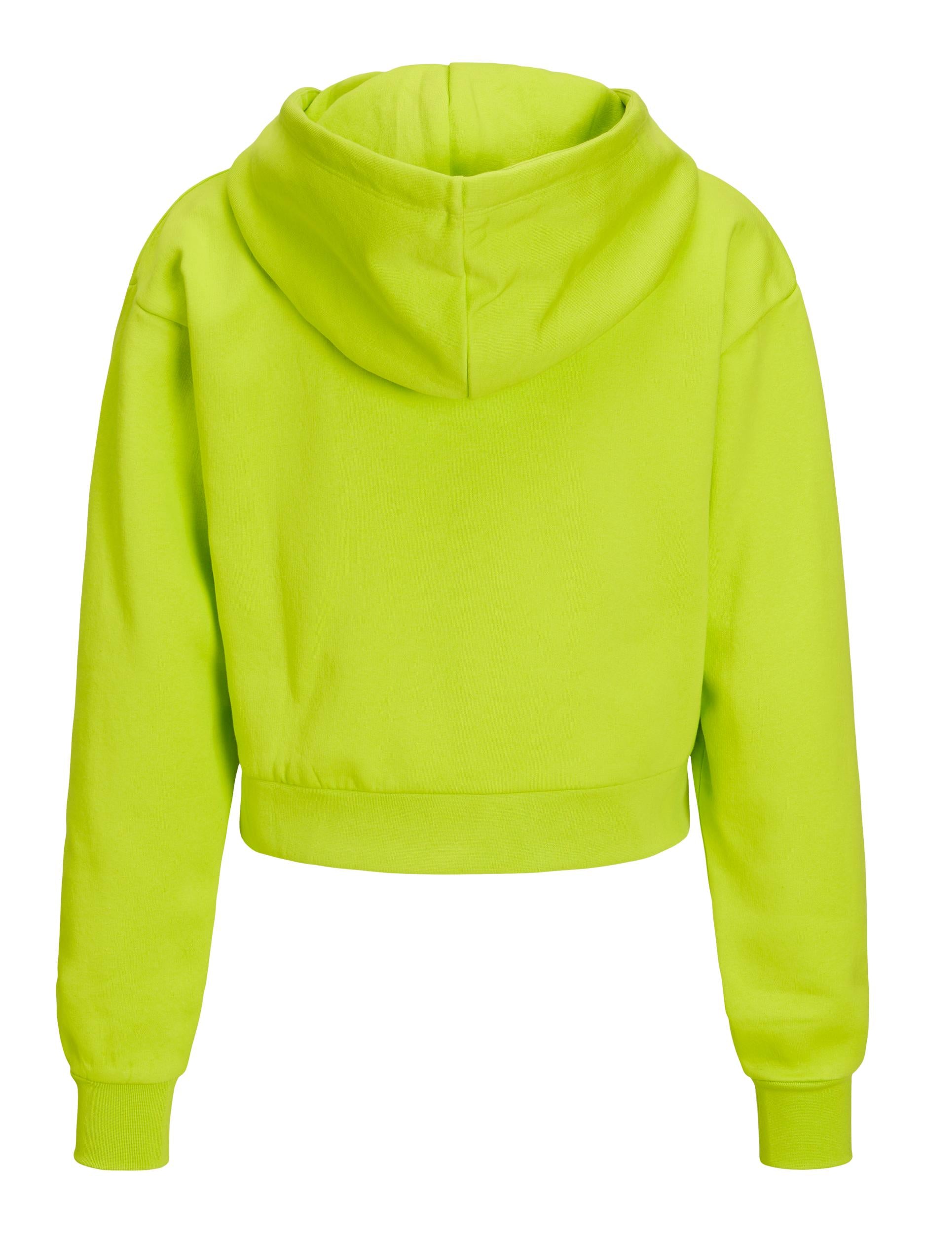 JXABBIE REG LS EVERY ZIP HOOD SWT NOOS